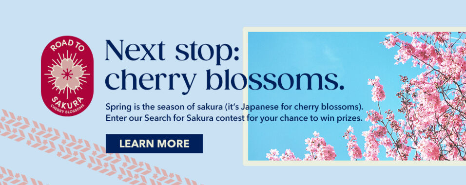 Search for Sakura
